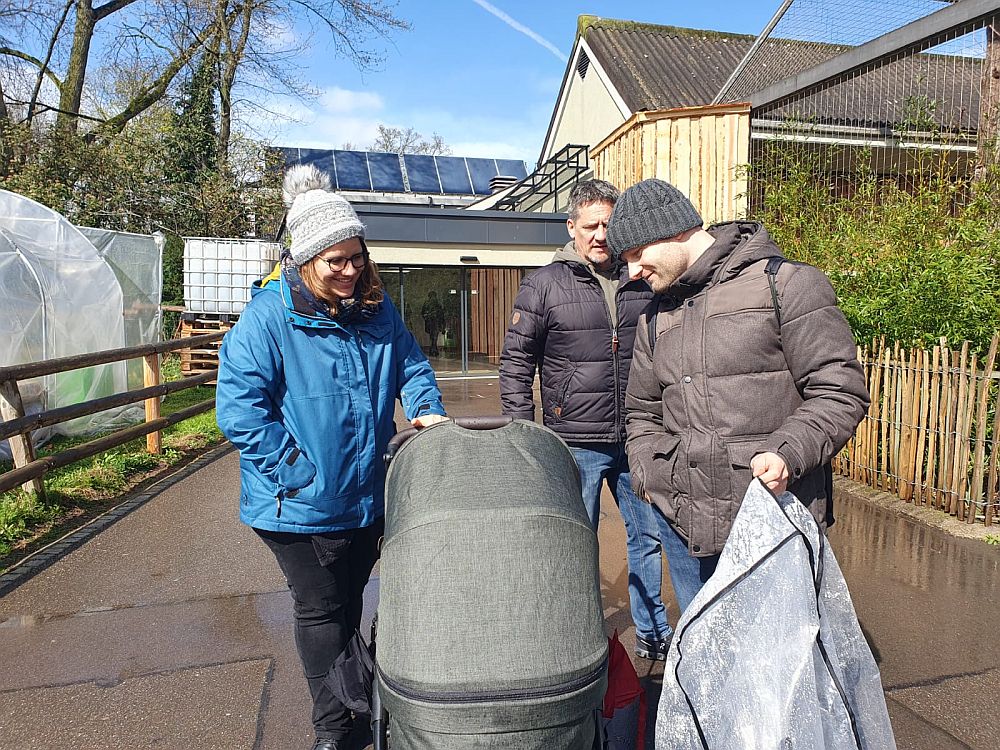 cd01bd01-e46a-43ac-9a74-e7d6e95f0b8d-blg