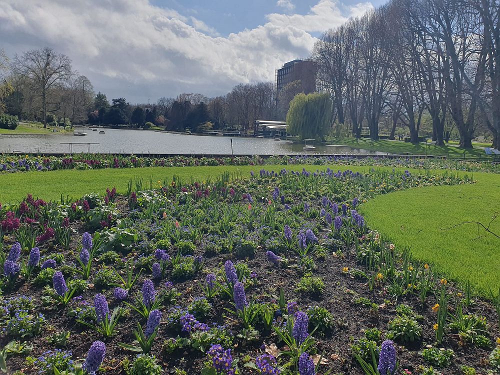 fe83c603-7430-4803-8556-dbd089a23123-blg